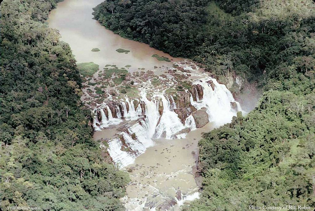 Bird Over Dalat4h