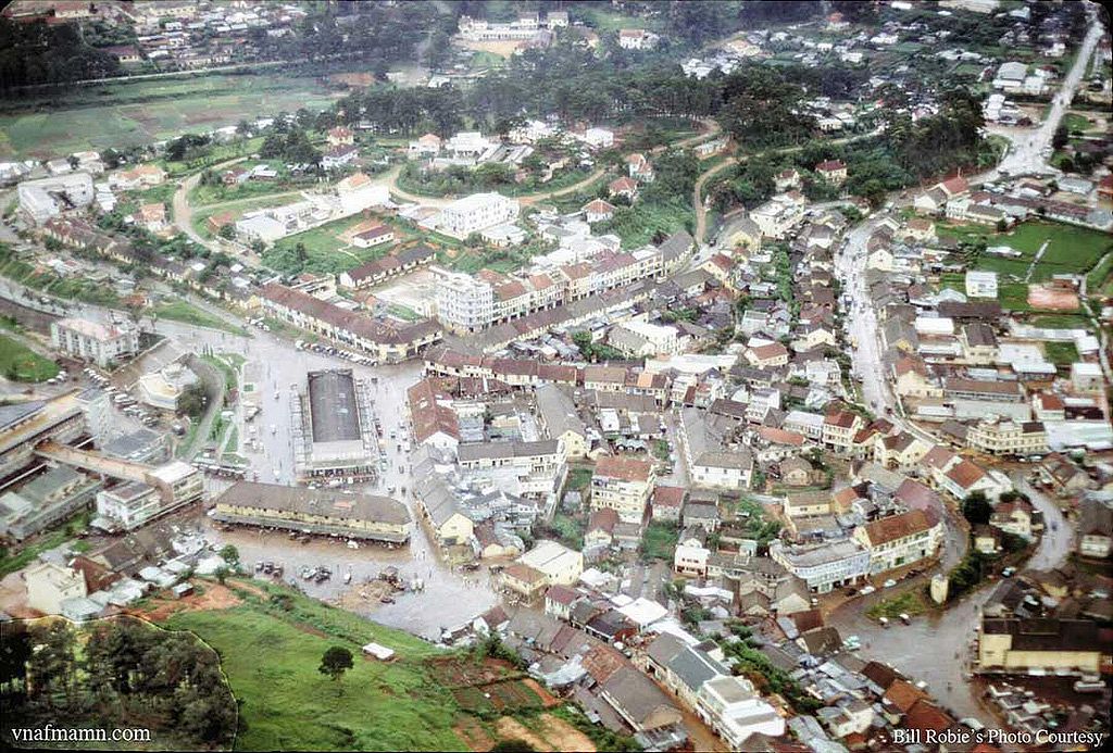 Bird Over Dalat9h